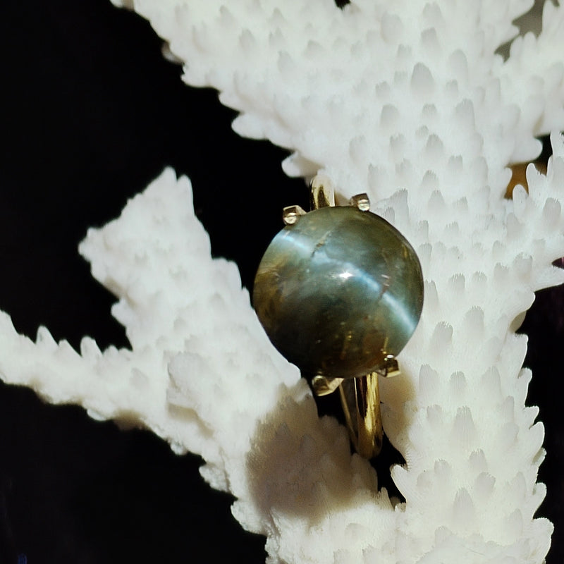 Chrysoberyl Cats Eye 6.35 carat