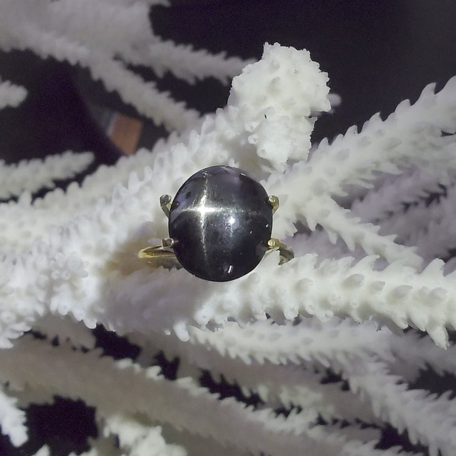Star Diopside 8.67 carat