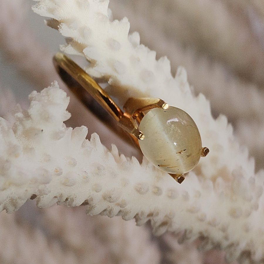 Beryl Helidor Cats Eye 2.76 carat